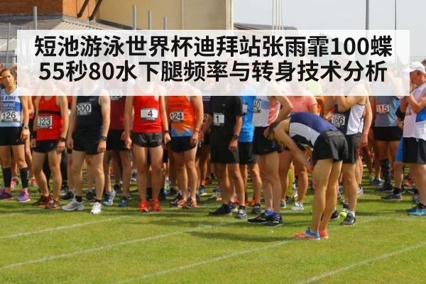 短池游泳世界杯迪拜站张雨霏100蝶55秒80水下腿频率与转身技术分析