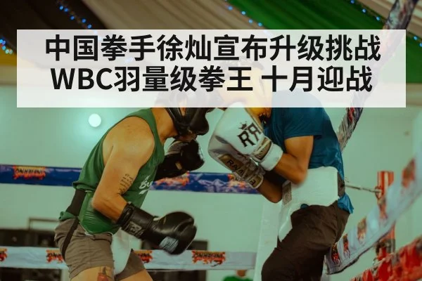 中国拳手徐灿宣布升级挑战WBC羽量级拳王 十月迎战